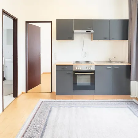 公寓 Beenie Mg 林茨